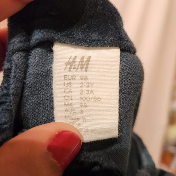 H&M Baby Girls Sz 2T / 3T Jade Green Velvet Long-Sleeve Dress Holiday Christmas - Picture 4 of 5